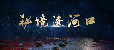 救援海盗章鱼